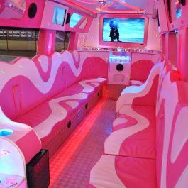 SPARKLING-PINK-PARTY-BUS-1 SPARKLING-PINK-PARTY-BUS-1