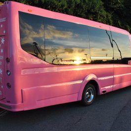 SPARKLING-PINK-PARTY-BUS-2 SPARKLING-PINK-PARTY-BUS-2