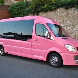 SPARKLING-PINK-PARTY-BUS-3 SPARKLING-PINK-PARTY-BUS-3