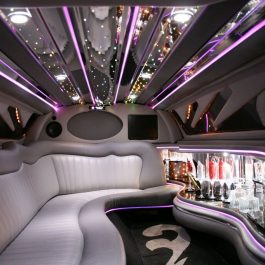WHITE-LIMOUSINE-1 WHITE-LIMOUSINE-1