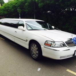WHITE-LIMOUSINE-5 WHITE-LIMOUSINE-5